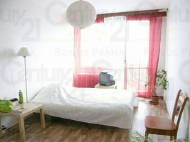 2+1 Štíbrova, P8